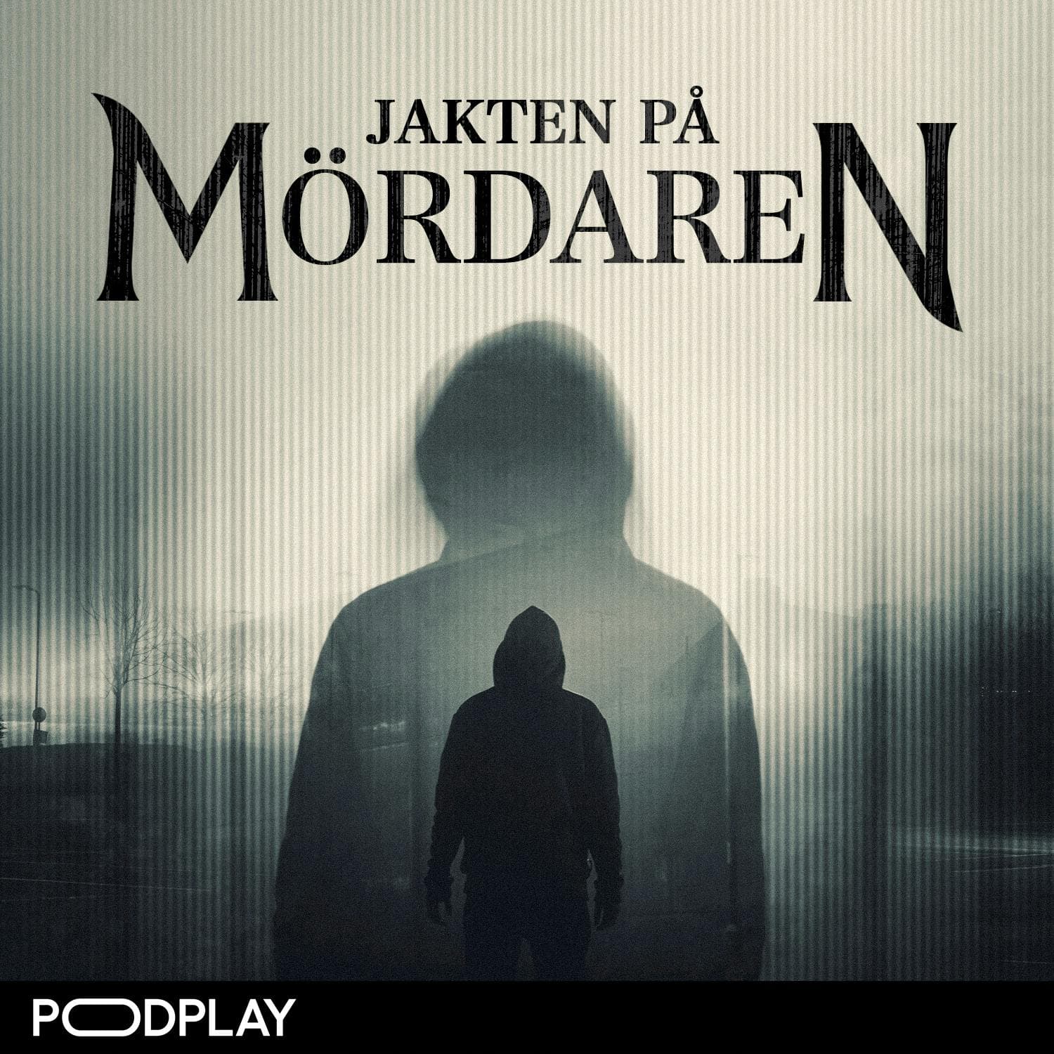 Jakten på mördaren cover art