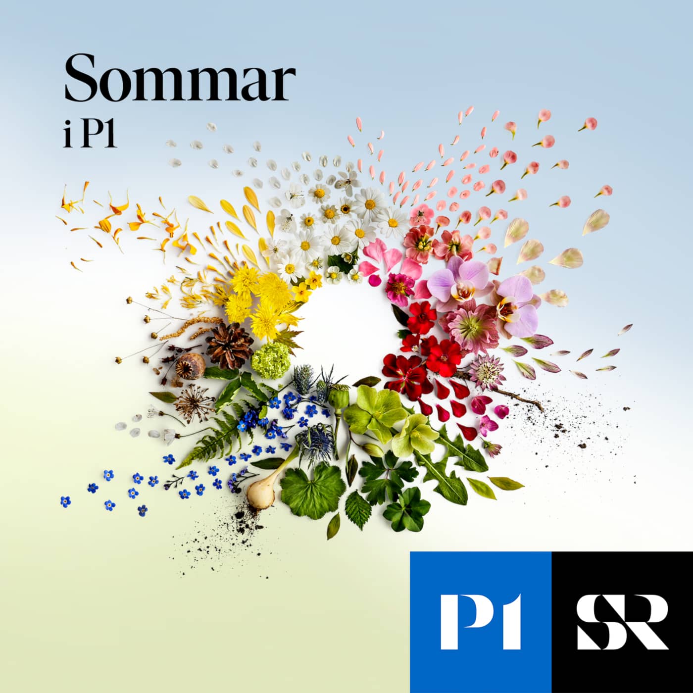 Sommar & Vinter i P1 cover art