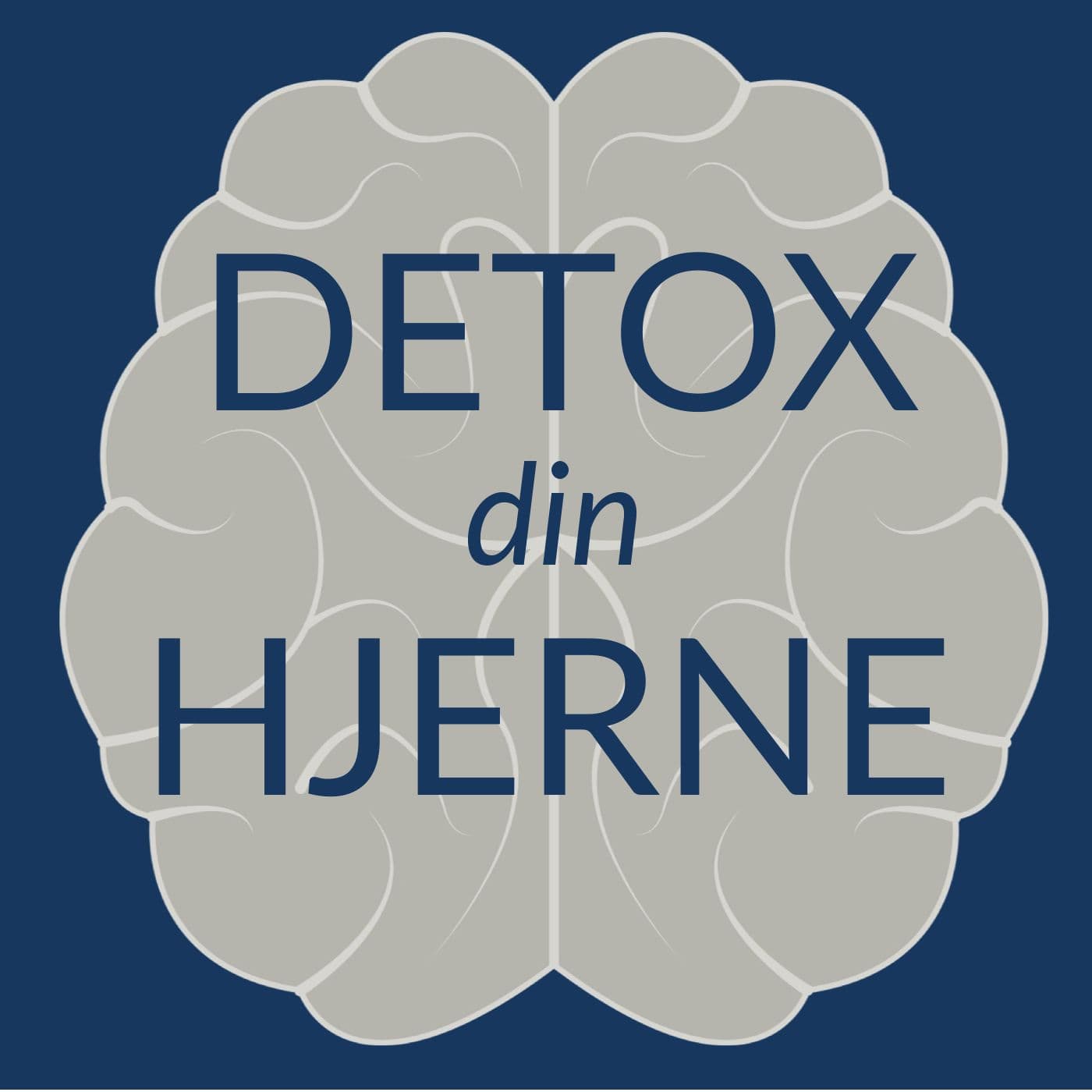 Detox Din Hjerne cover art