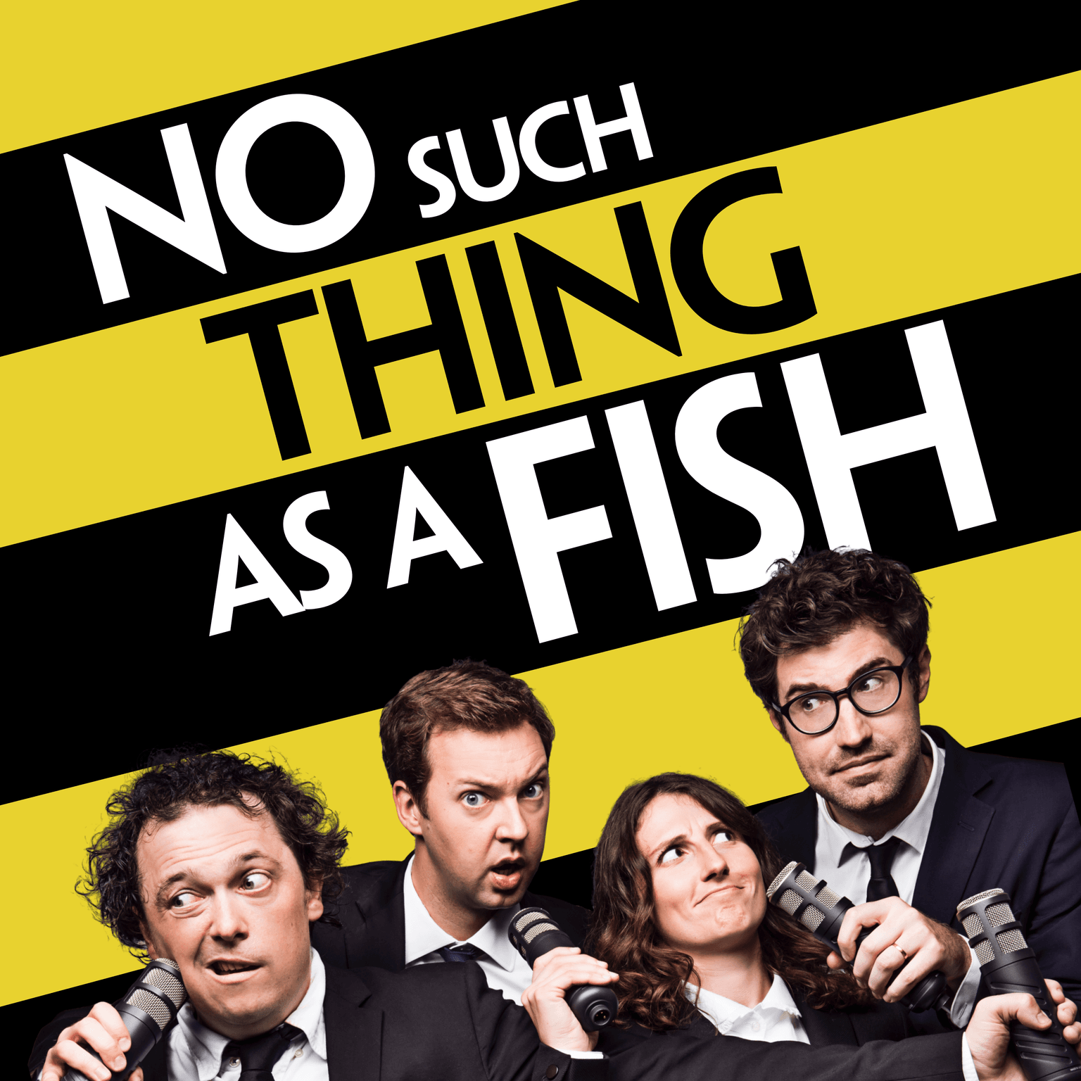 No Such Thing As A Fish cover art