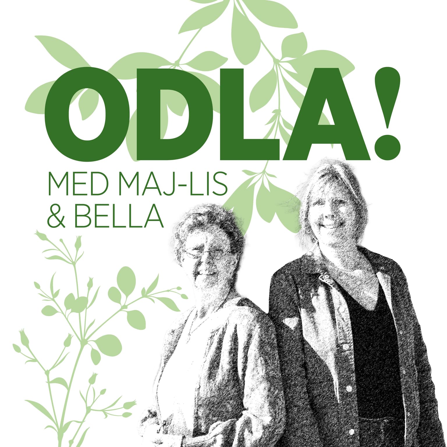 ODLA! cover art
