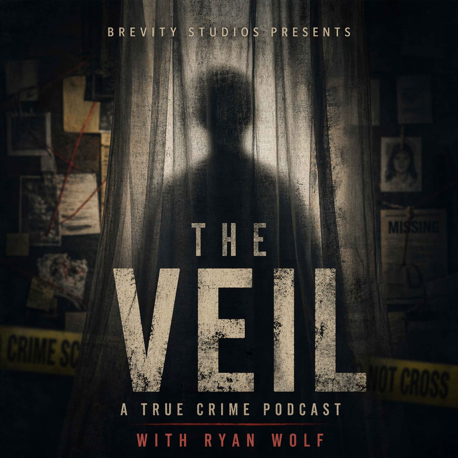 The Veil cover art