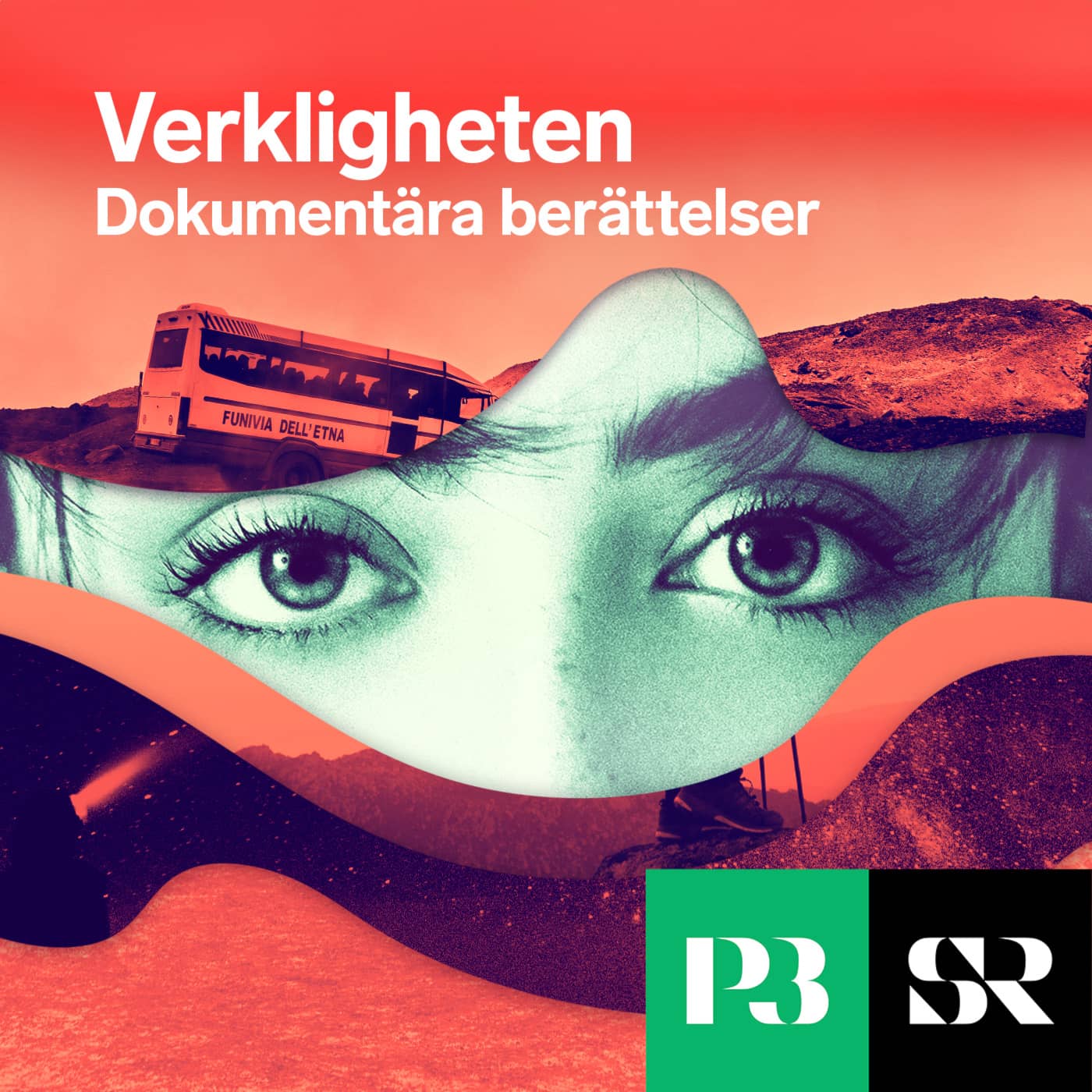 Verkligheten cover art