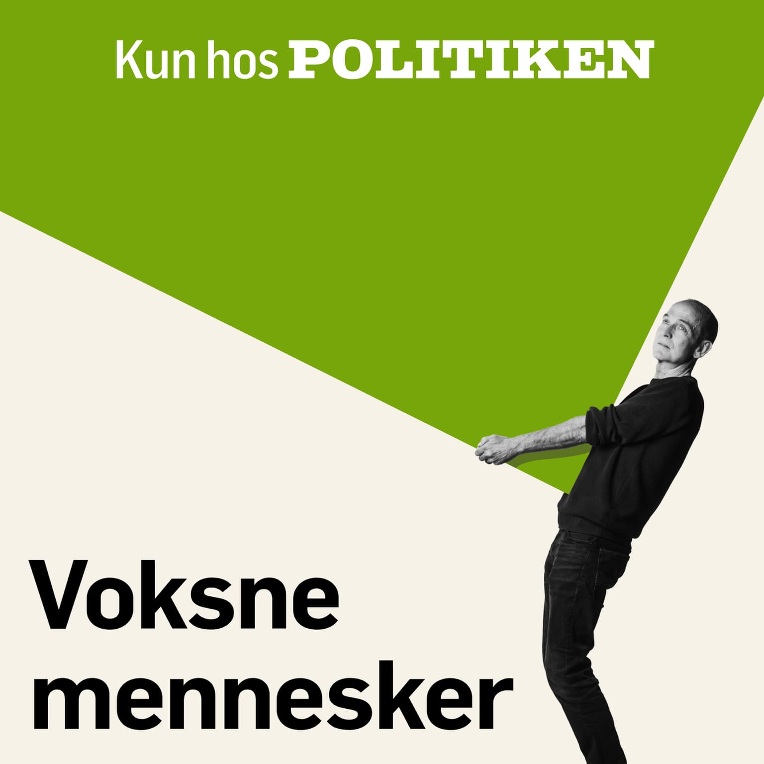 Voksne mennesker cover art